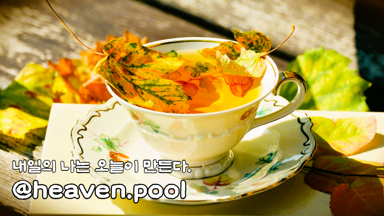 @heaven.pool_가을찻잔.png