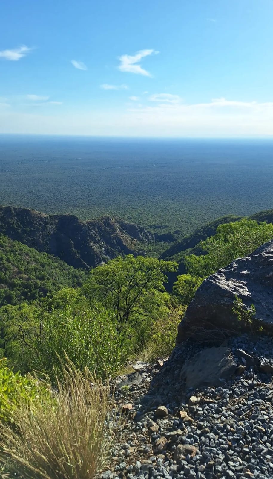 WhatsApp Image 2024-02-05 at 13.12.41 (1).jpeg