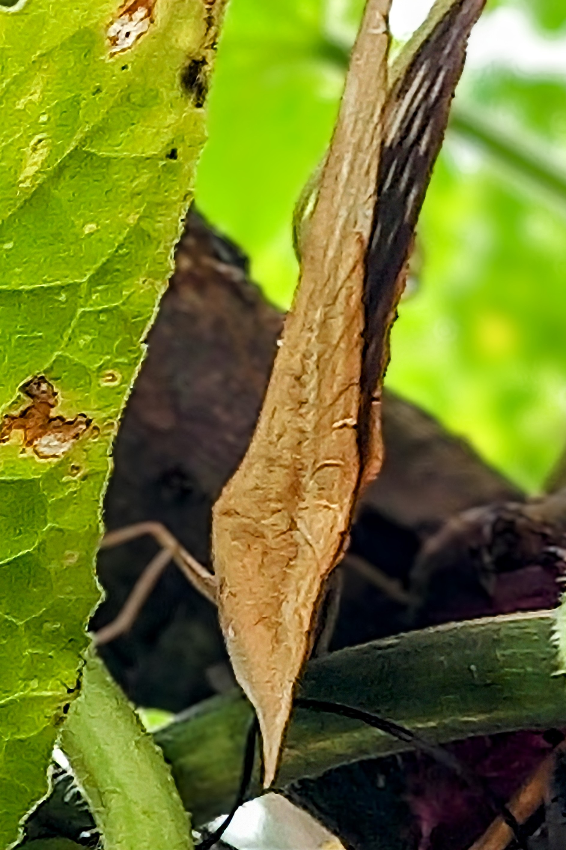 20250722_141801~3.jpg