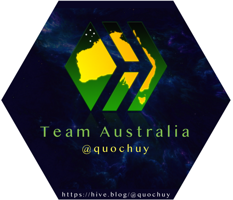 Quoc Huy Team Australia badge