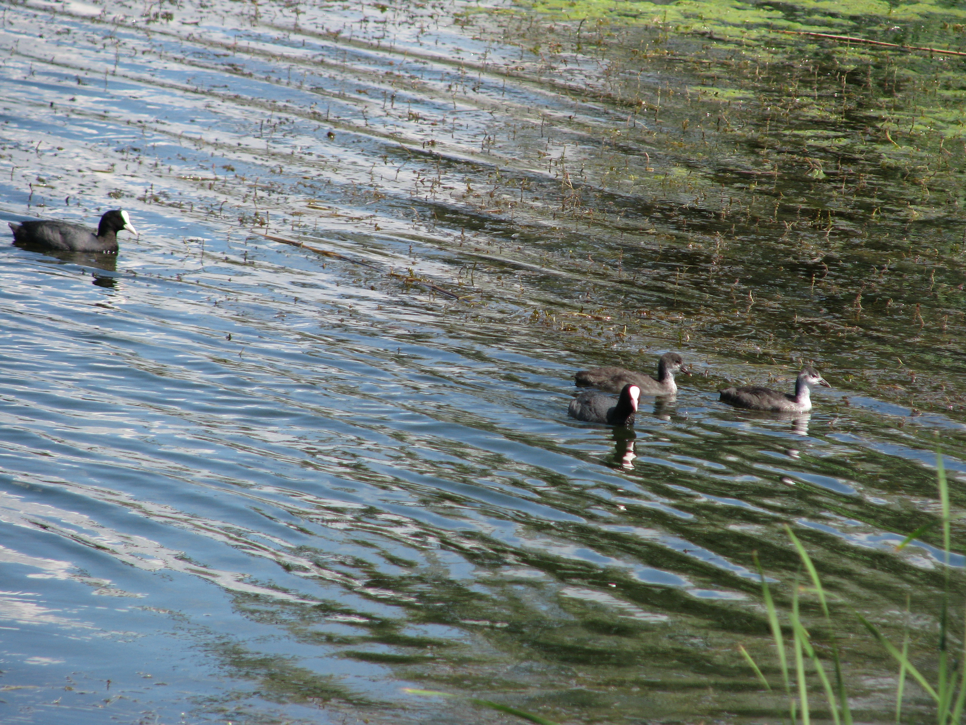 2009.06.14 14.26.45.jpg