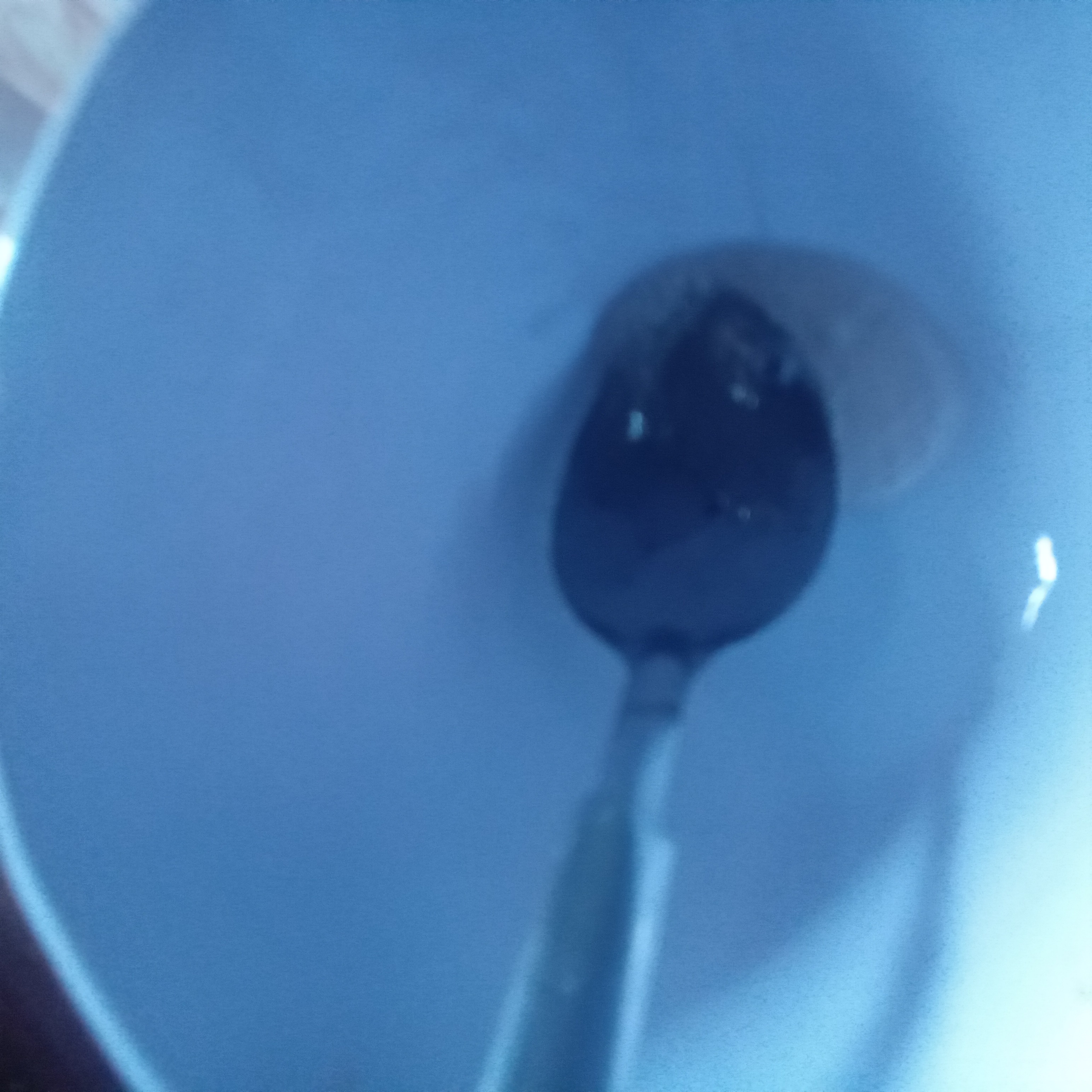 20250329_154748.jpg