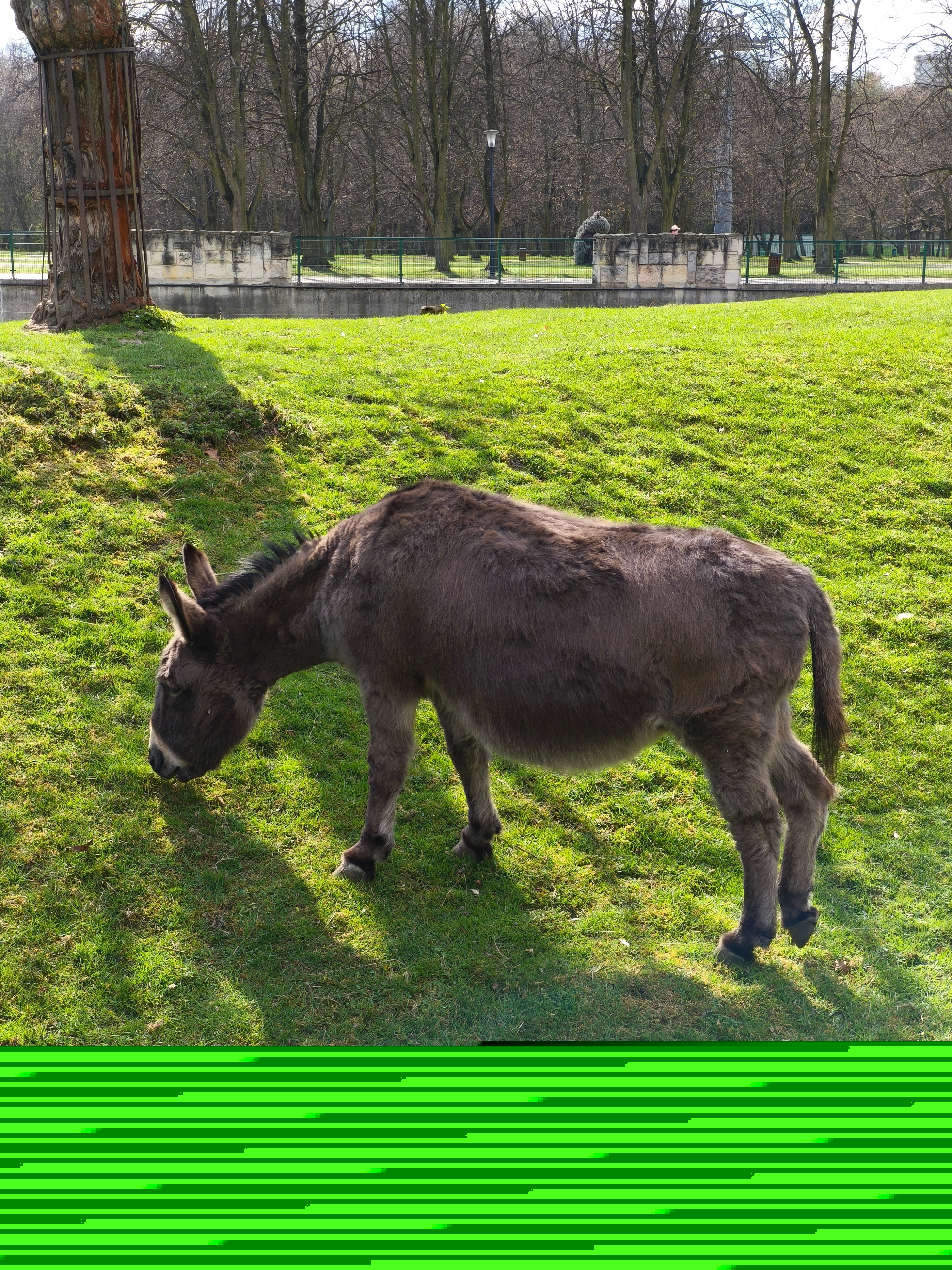 Picsart_25-04-28_18-41-19-502.jpg