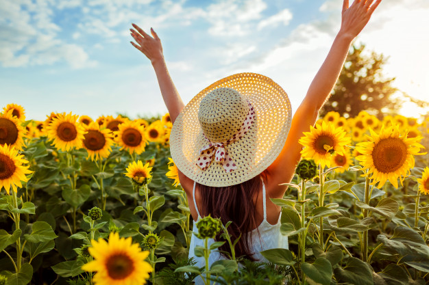 mujer-joven-que-camina-campo-floreciente-girasol-que-levanta-manos-que-divierte_106029-379.jpg