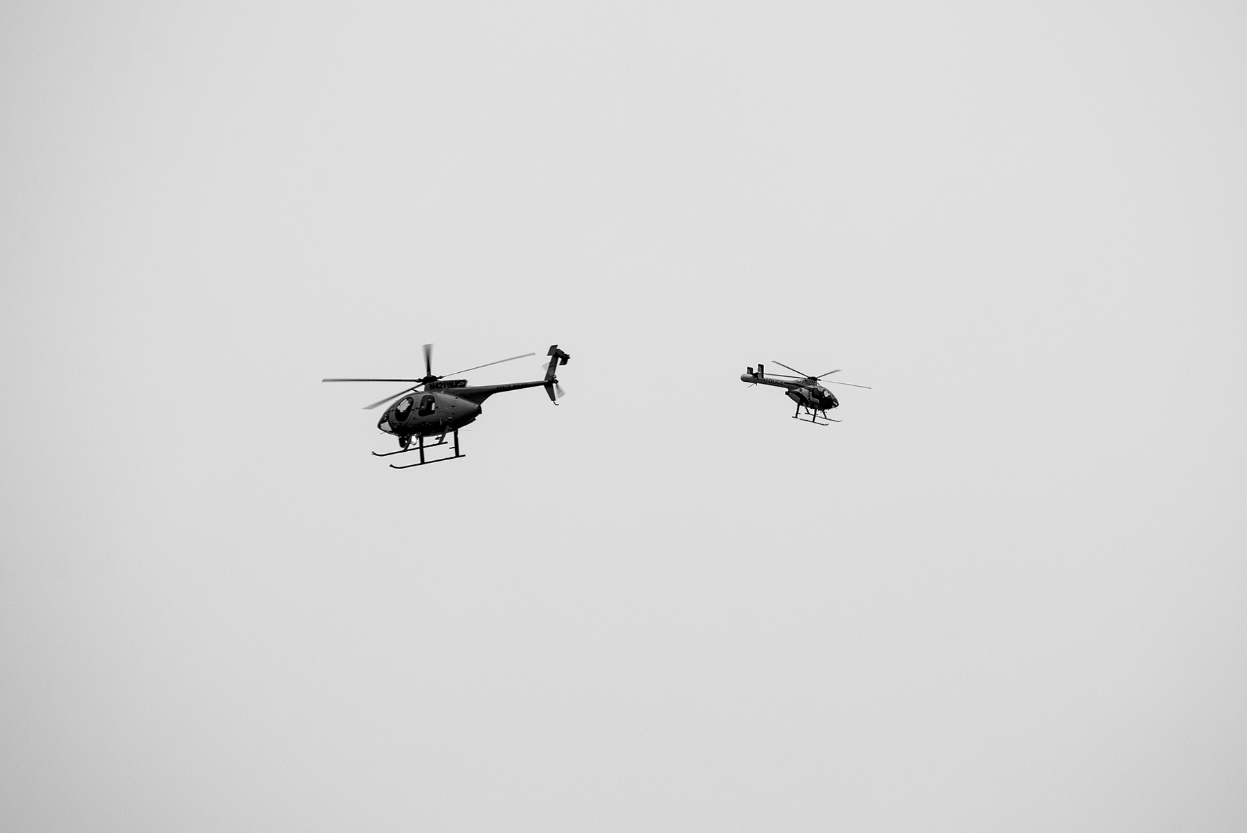double chopper.jpg