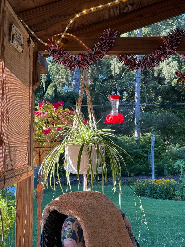 hivegarden-porchtime.jpg