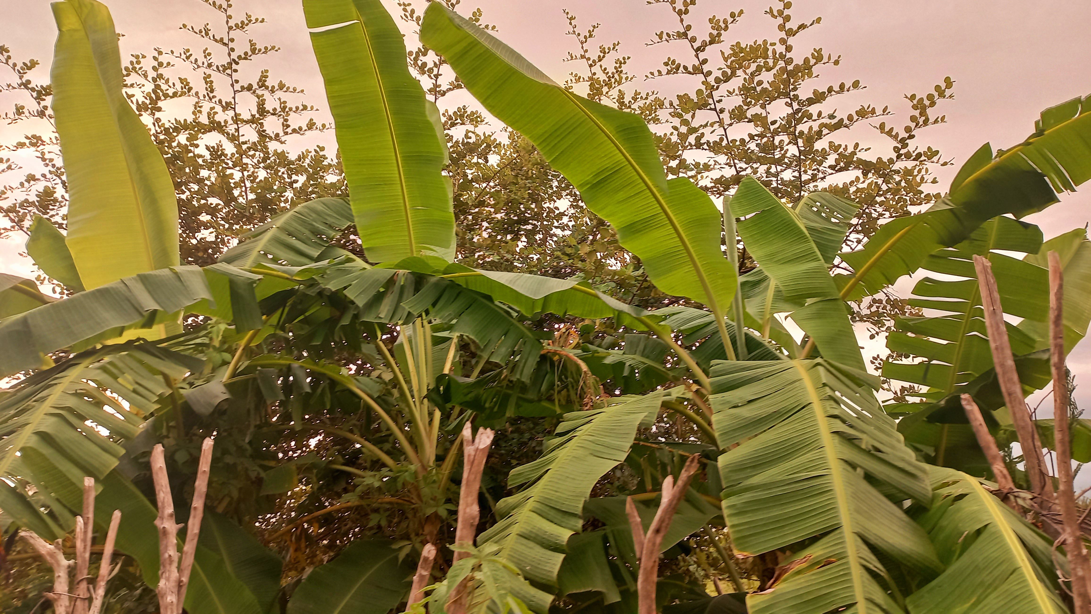 20250811_182420.jpg