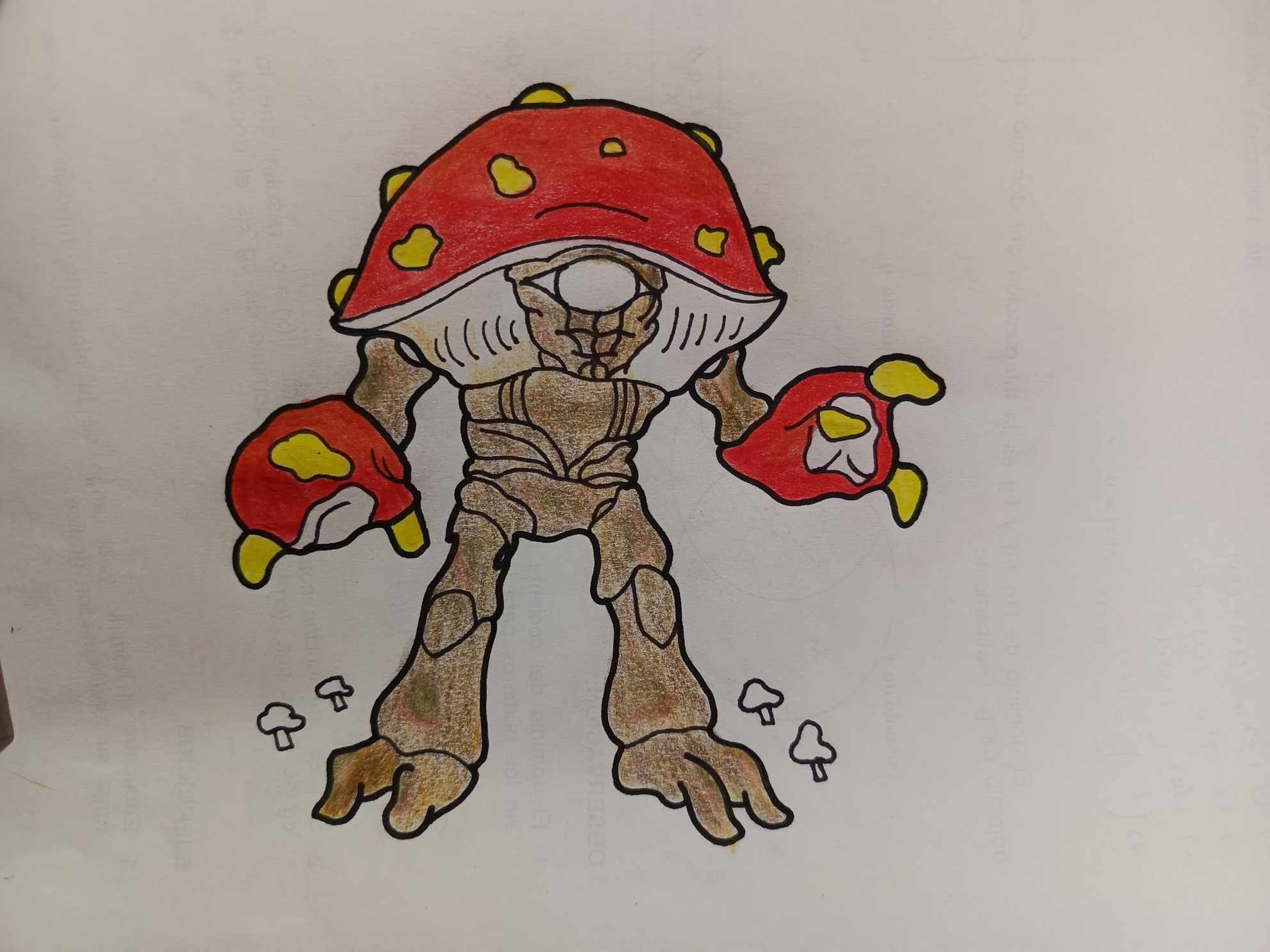d4.jpg