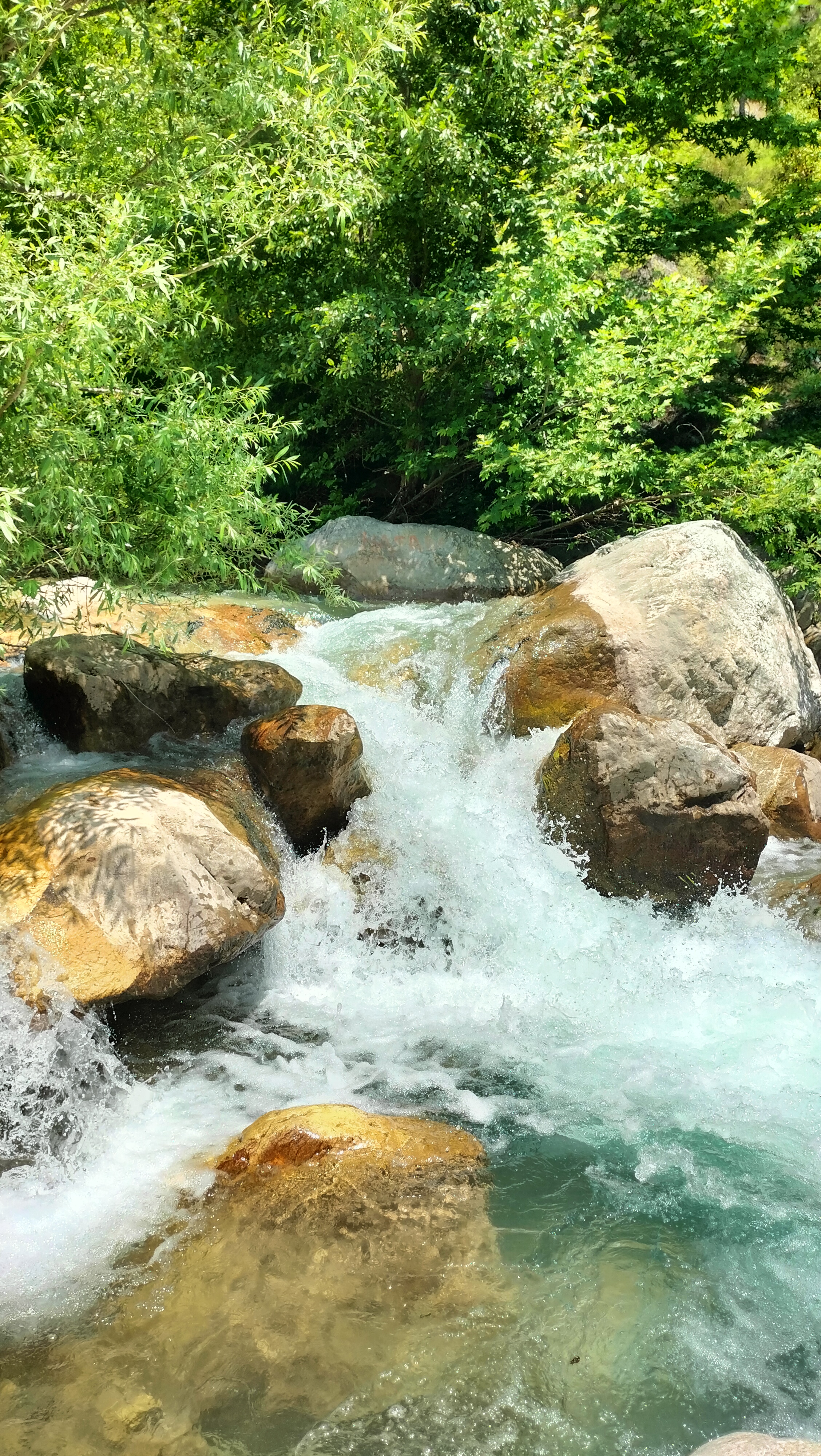 IMG20250519132753.jpg