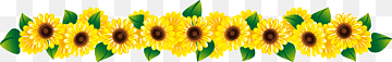 png-transparent-common-sunflower-graphy-sunflower-header-separator-line-sunflower-plant-stem-grass-thumbnail.png