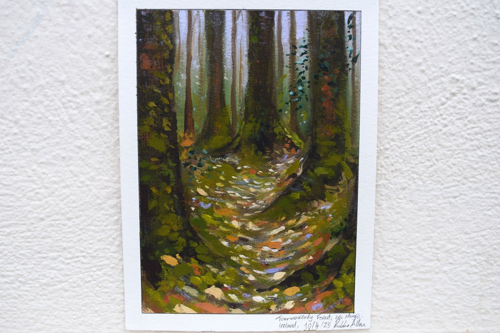 Tourmakeady-forest-painting-photo-5--version-2-forweb.jpg