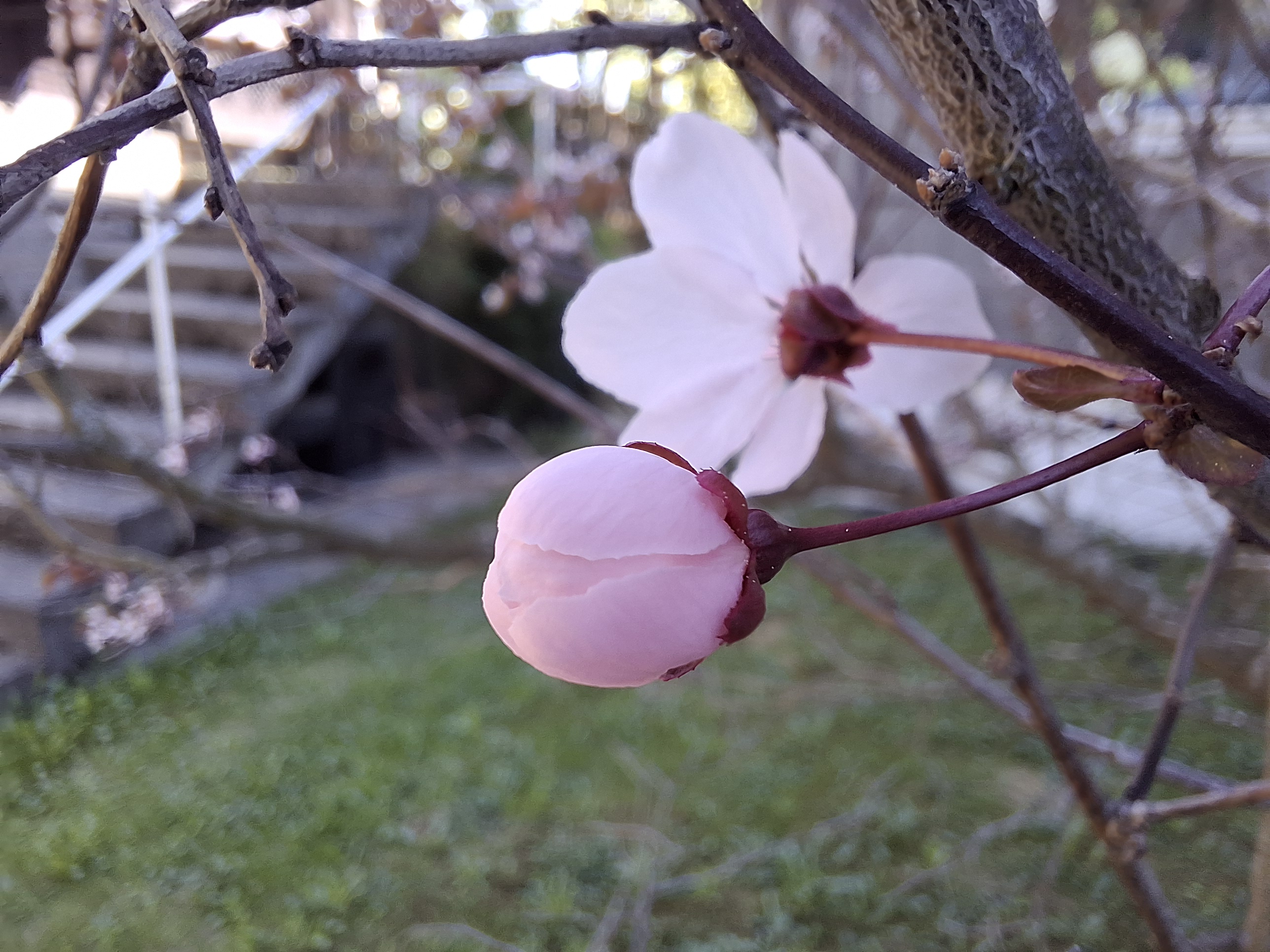 20240513_125604.jpg