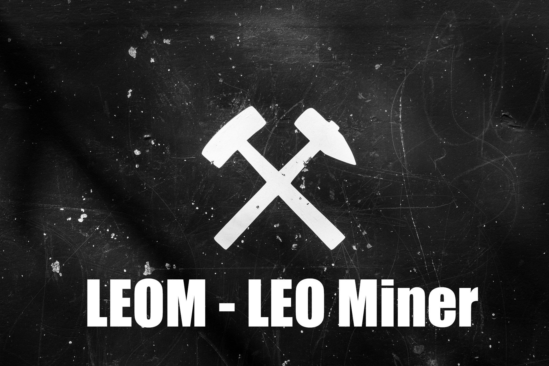 leom_leo_miner.jpg