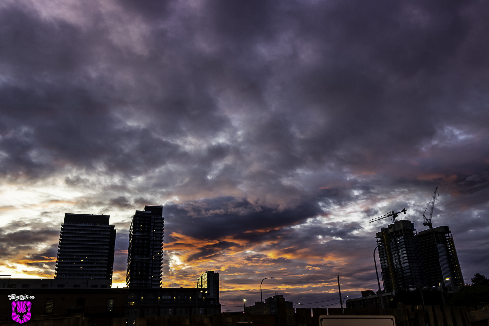 IMG_5435.JPG