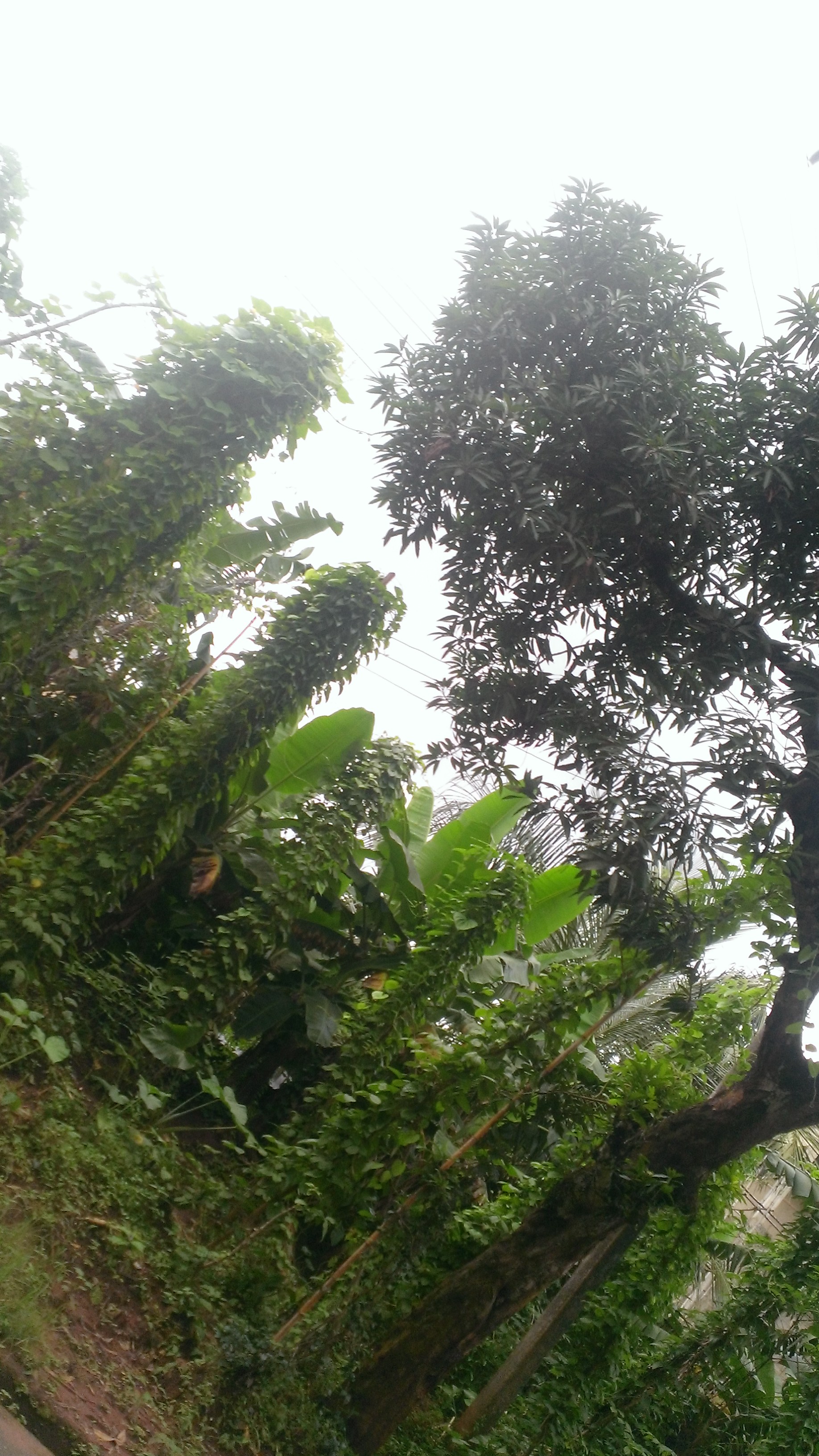 WP_20200730_048.jpg