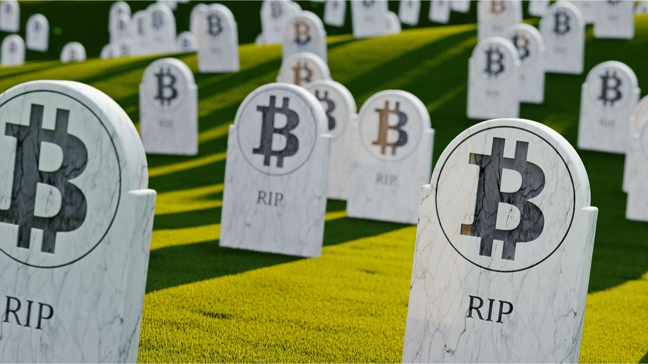 @whatsup/welcome-to-bitcoin-is-ded-season-bitcoin-isn-t-dead