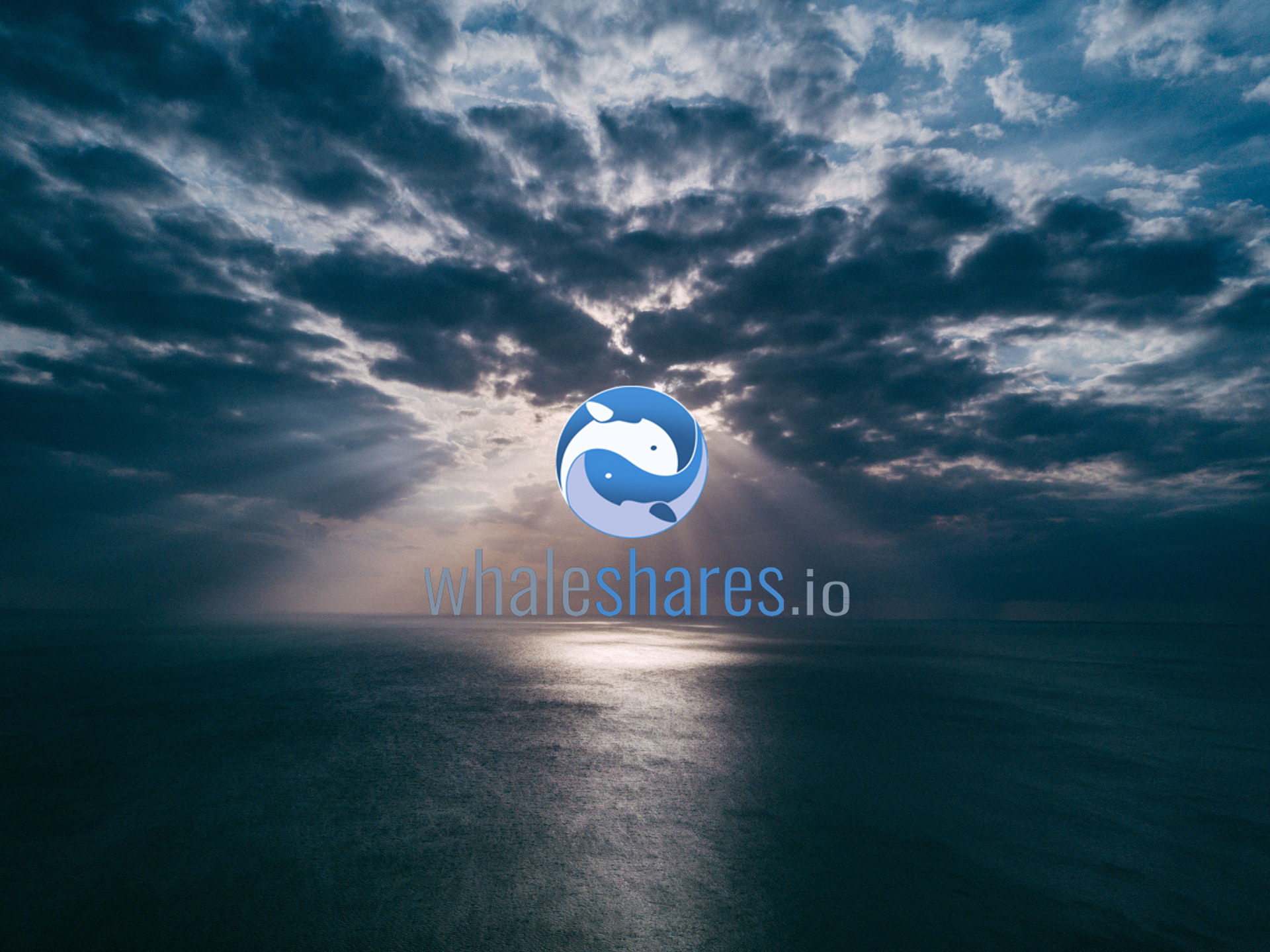 whaleshares-wallpaper-0.png