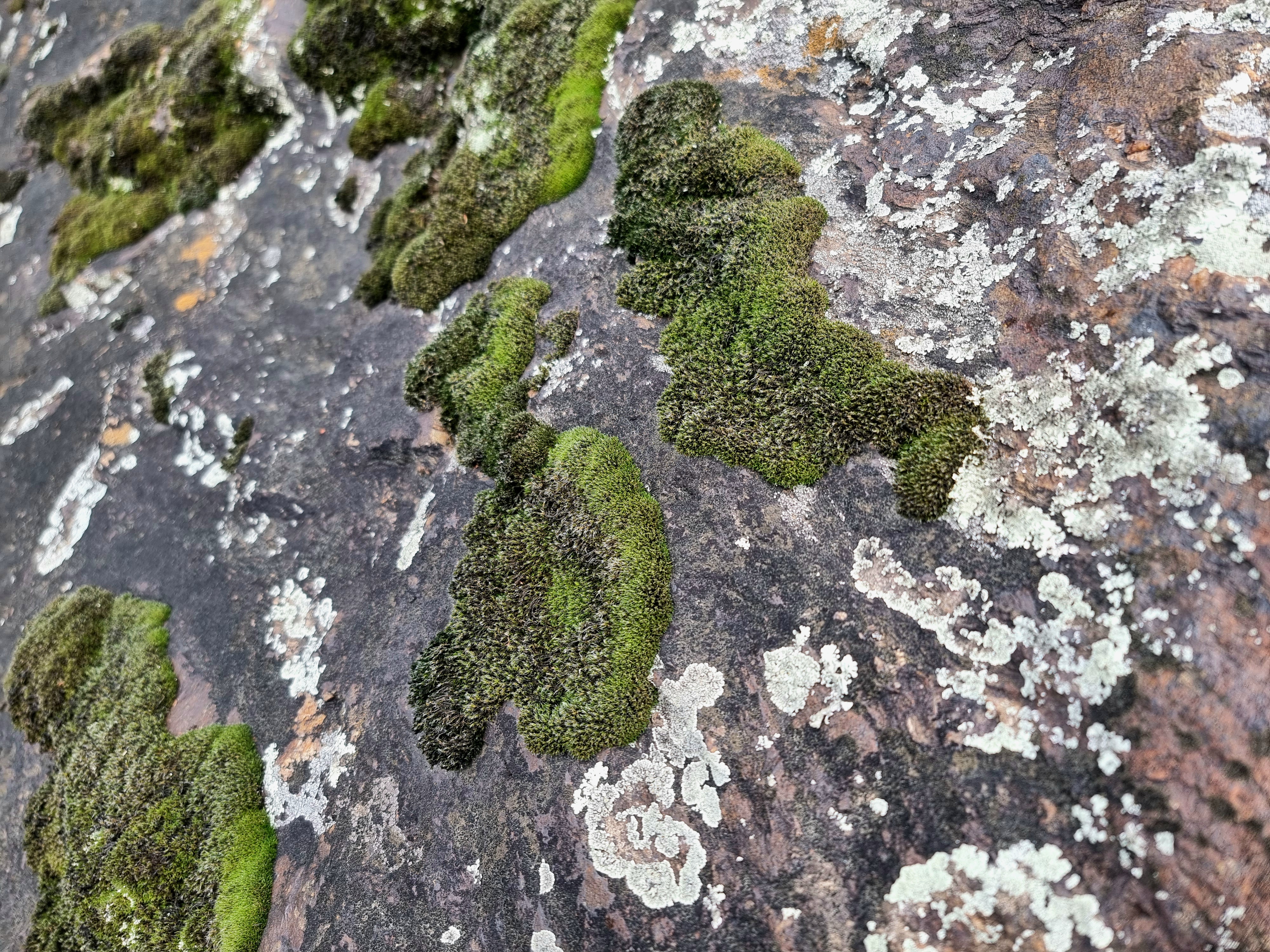20250512_113658.jpg