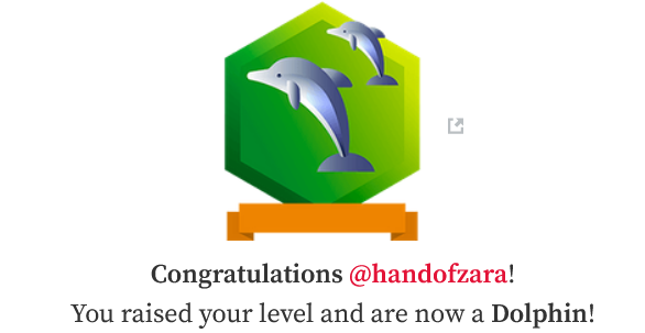 Screenshot 2023-05-03 at 17-09-48 @handofzara.png