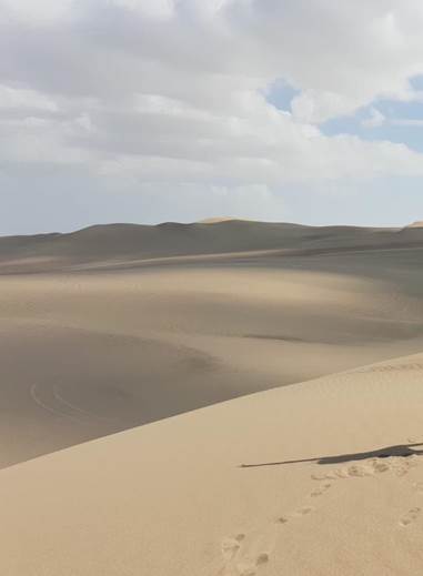 desierto.jpg