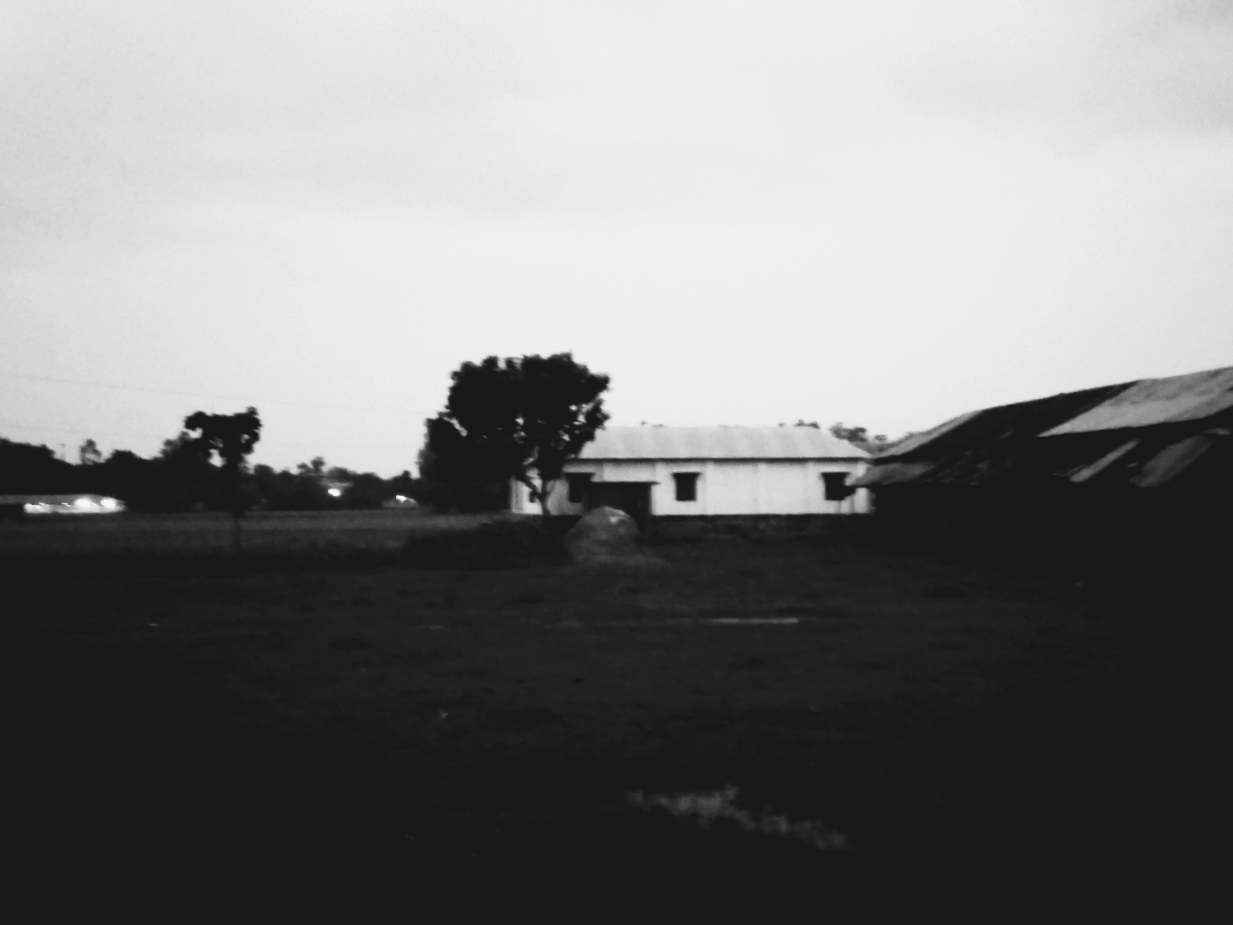 20250801_190801~4.jpg