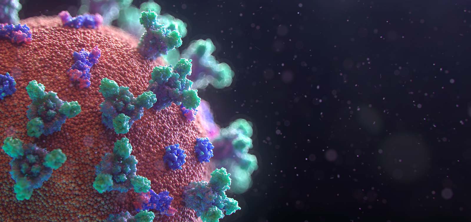 covid+virus+3d.jpg