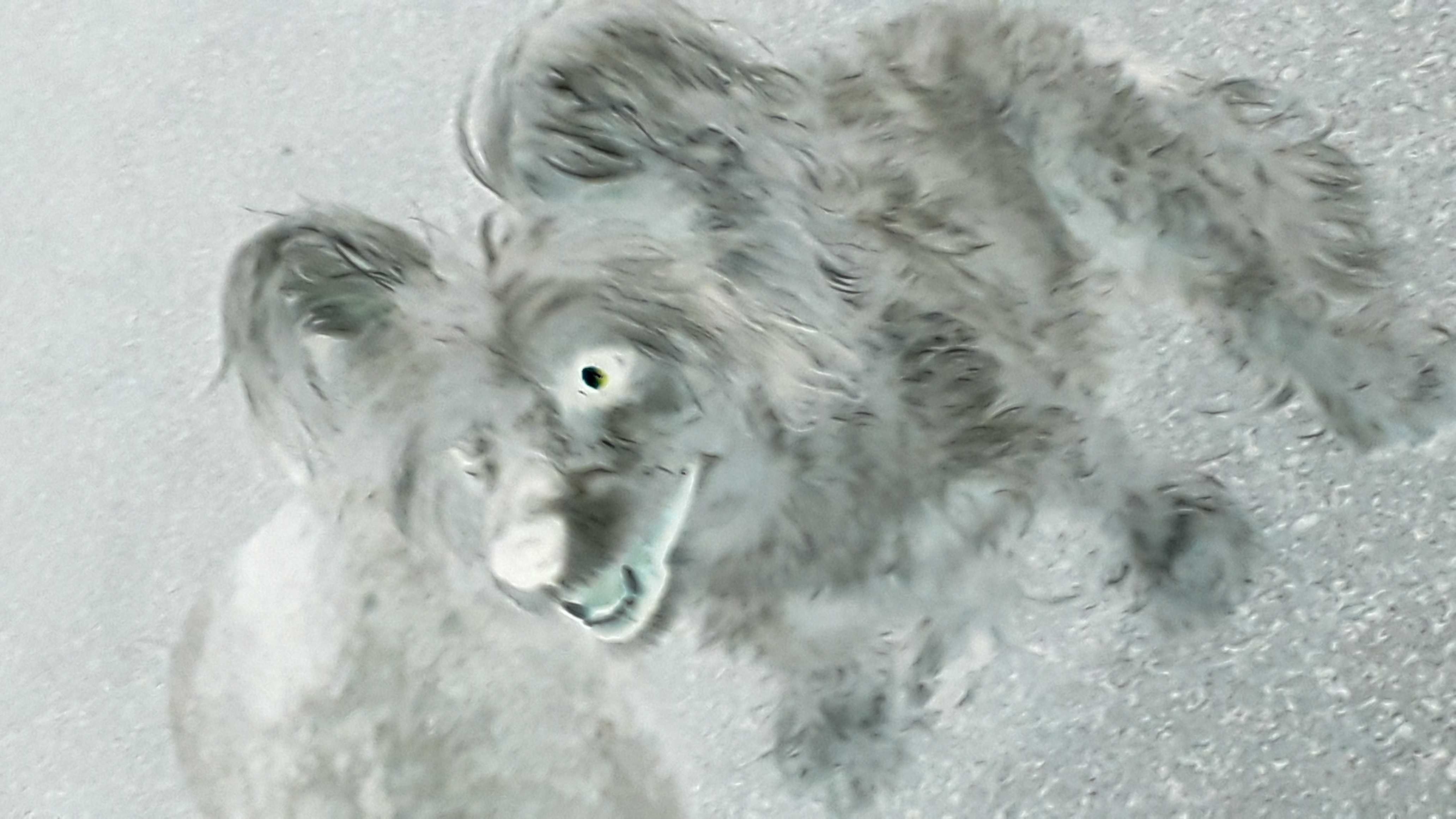 NegativeImage_cf58bf03-02ed-4a8d-9cdf-1a6cab923526.png
