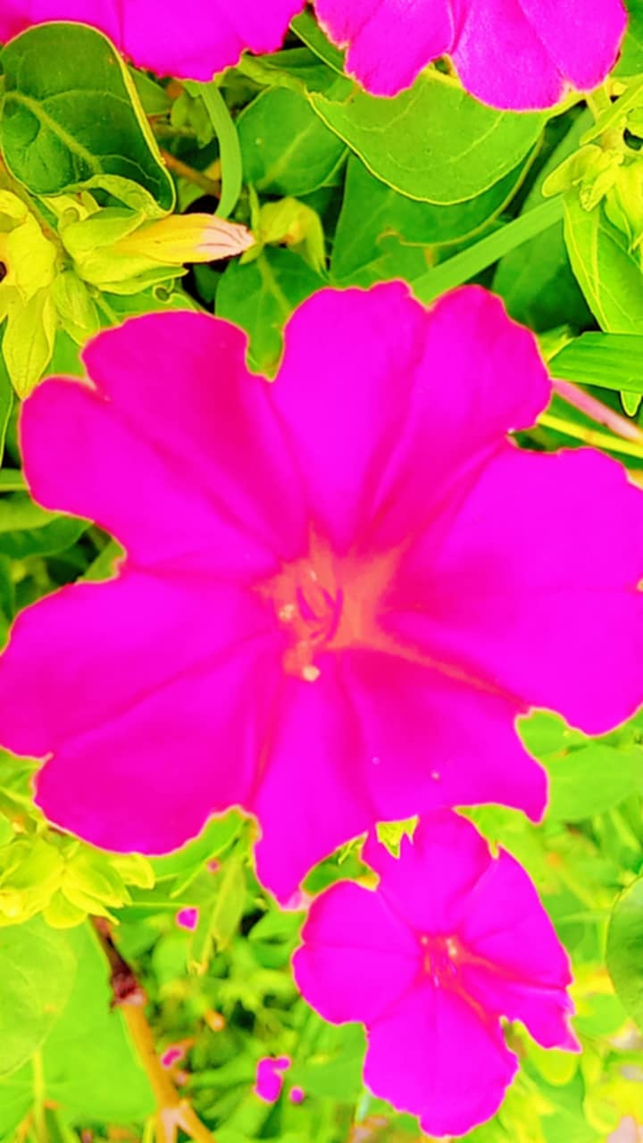 Messenger_creation_39DA99B5-7894-40E0-9465-DD70ED9059B9.jpeg