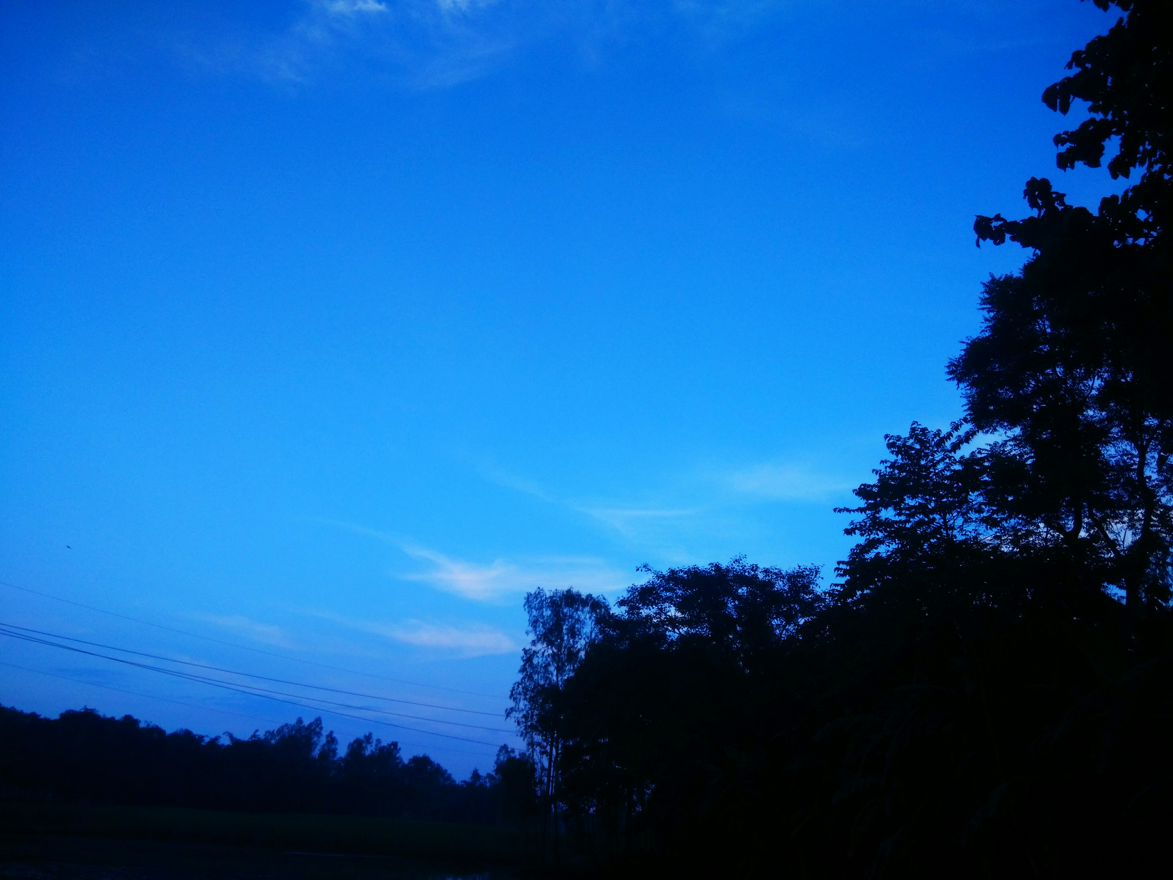 IMG_20200724_185037.jpg