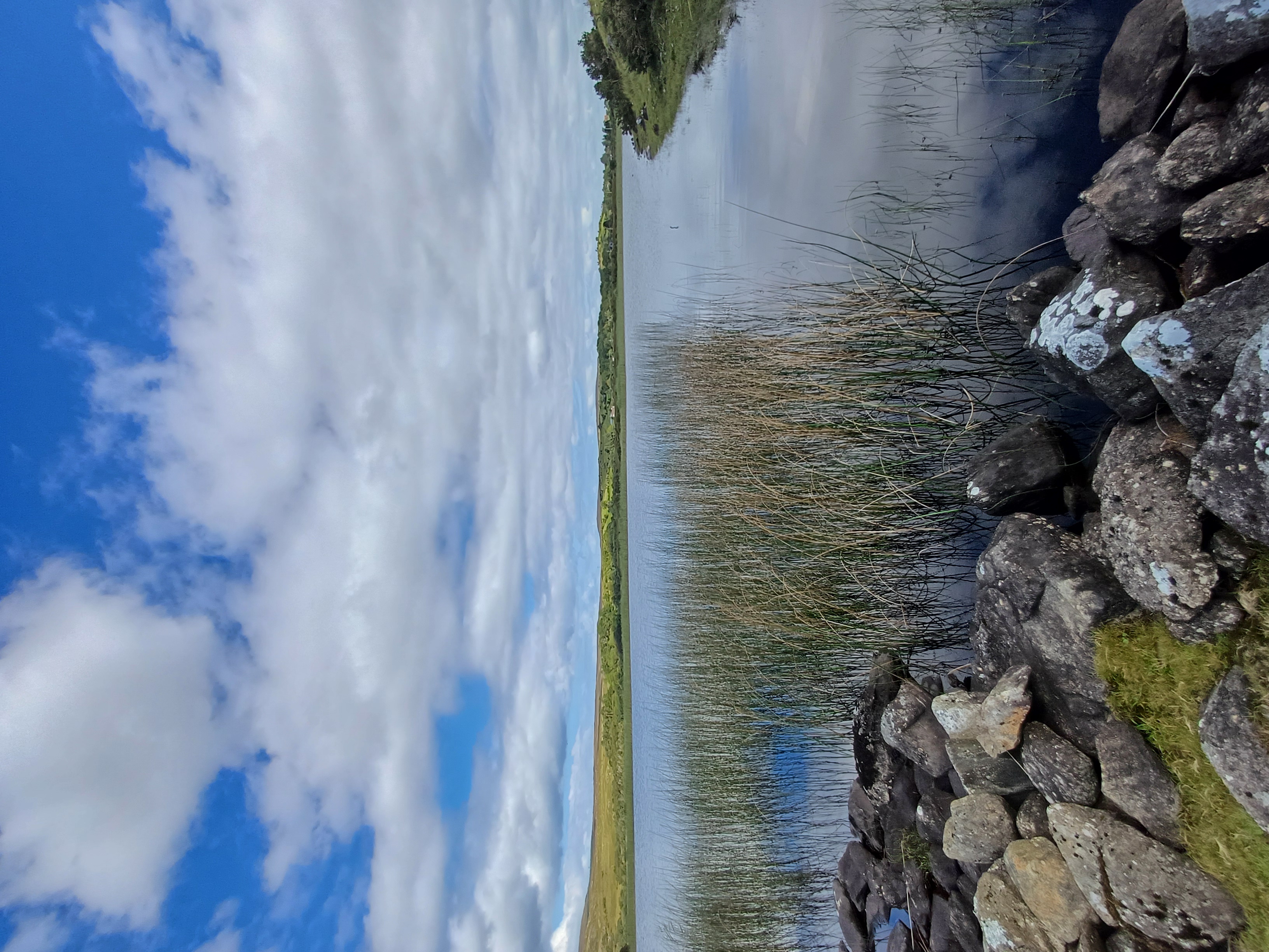 20250813_140654.jpg