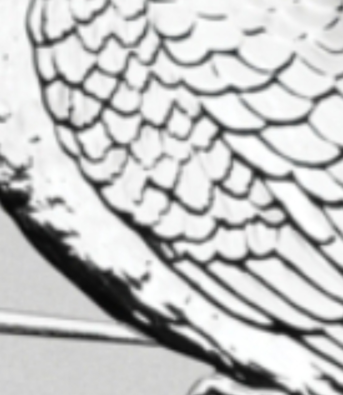 Screenshot_20230328_215507_Gallery.jpg