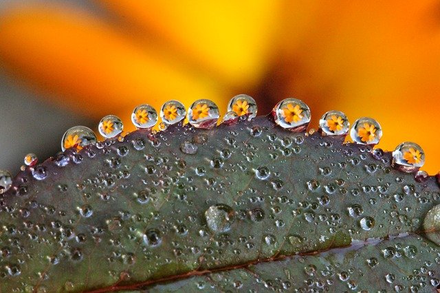 dewdrop-gd79102f19_640.jpg