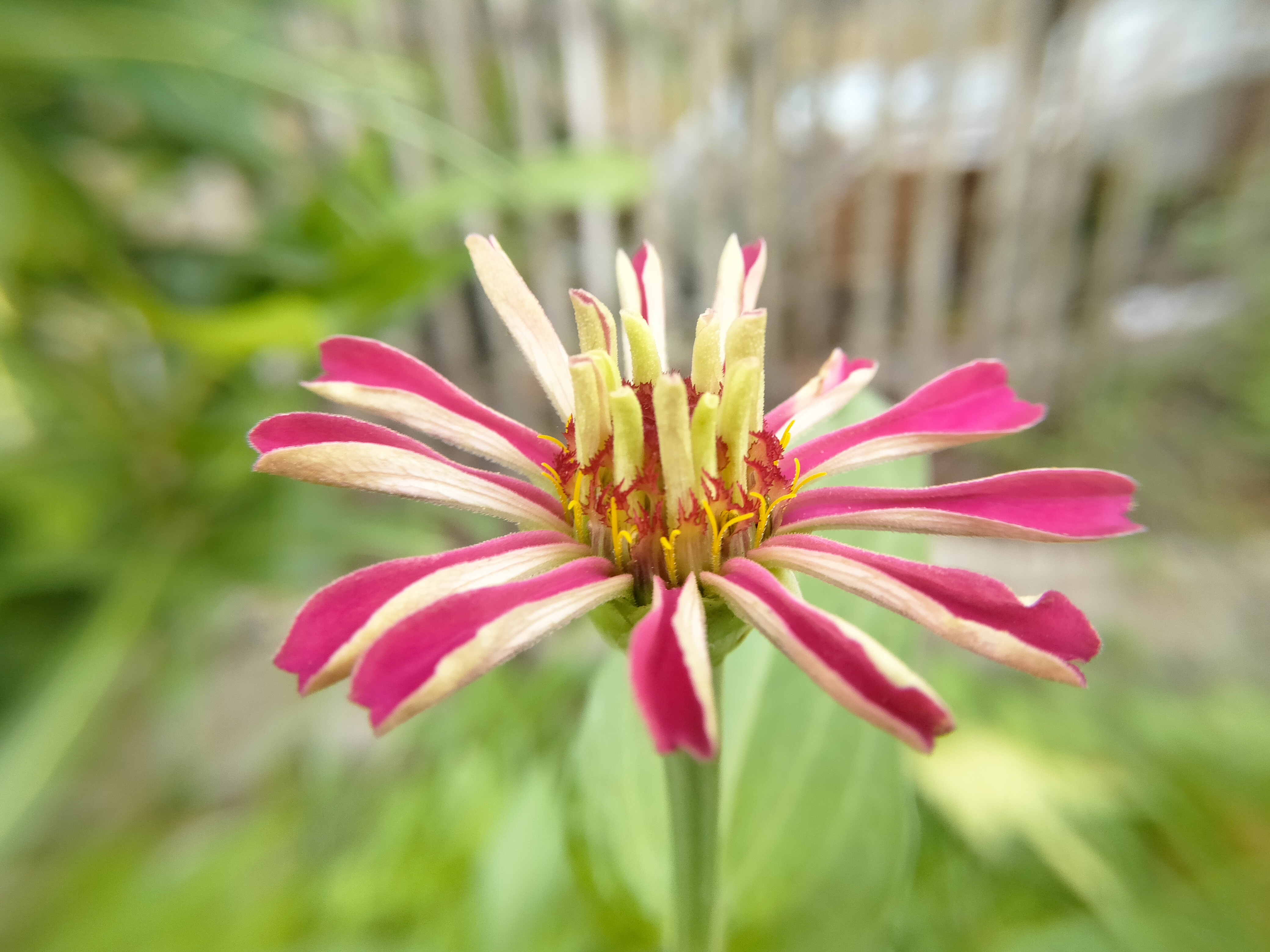 IMG20230605111935.jpg