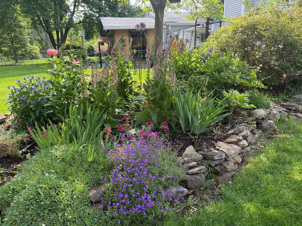 hivegarden-8 (1).jpg
