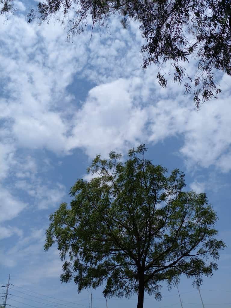 QVdSJhgNm7rytEdw6s9xSKTWEKZffuqF4je3ub9Q2WdWYLauYRxFAcqByLCqXkPzW7EfHQybofgw2dmr5LctahFXoK8PXqps2TUqXuLp7uTBamsM2DovL3r2YzzENu6PdPrhd9QA2KAi6upPK6Wpzd6YEcJgWKcamiTjM4PjzqetY2HZSHEKFGi.jpeg