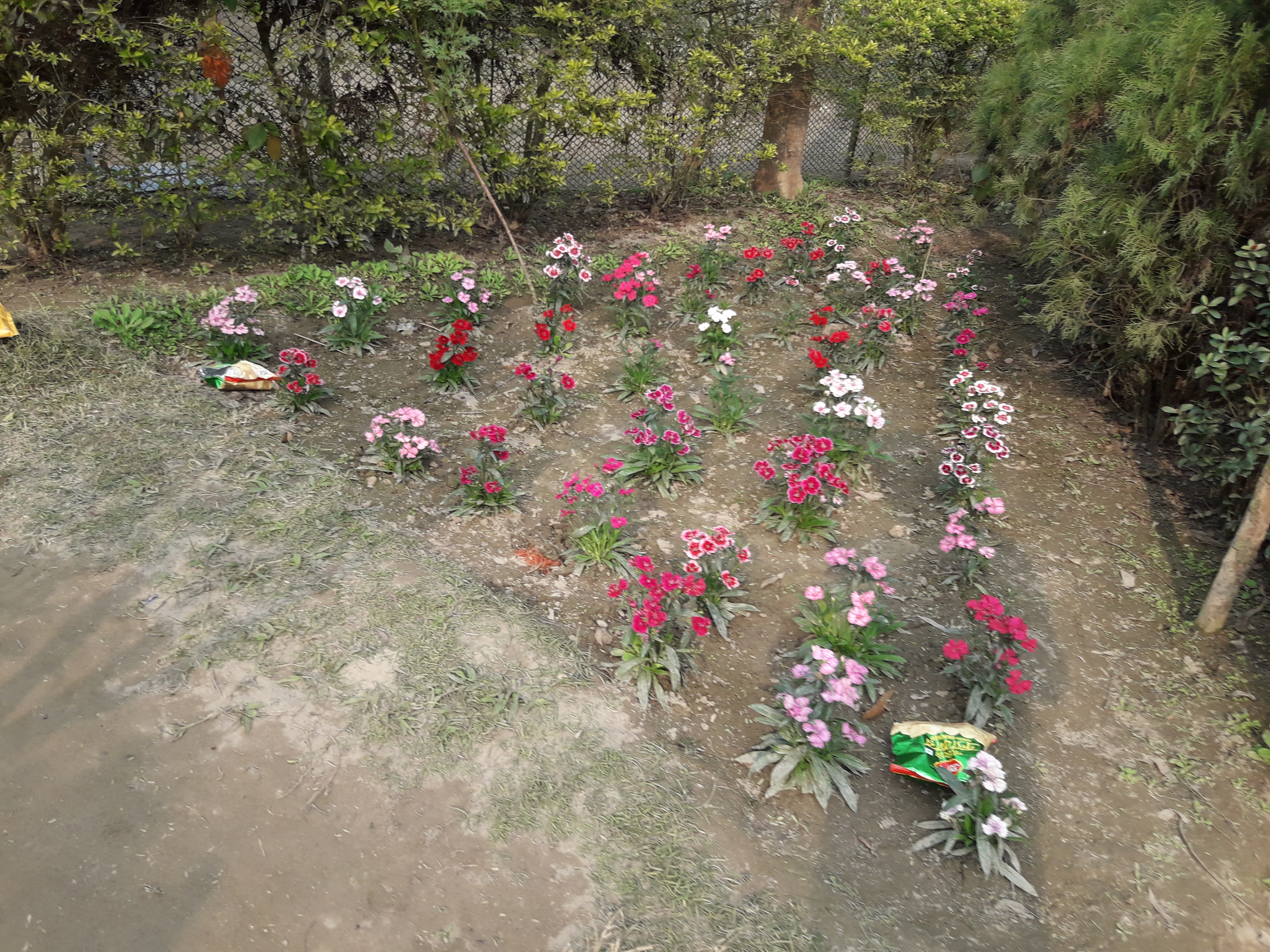 20230120_145856.jpg