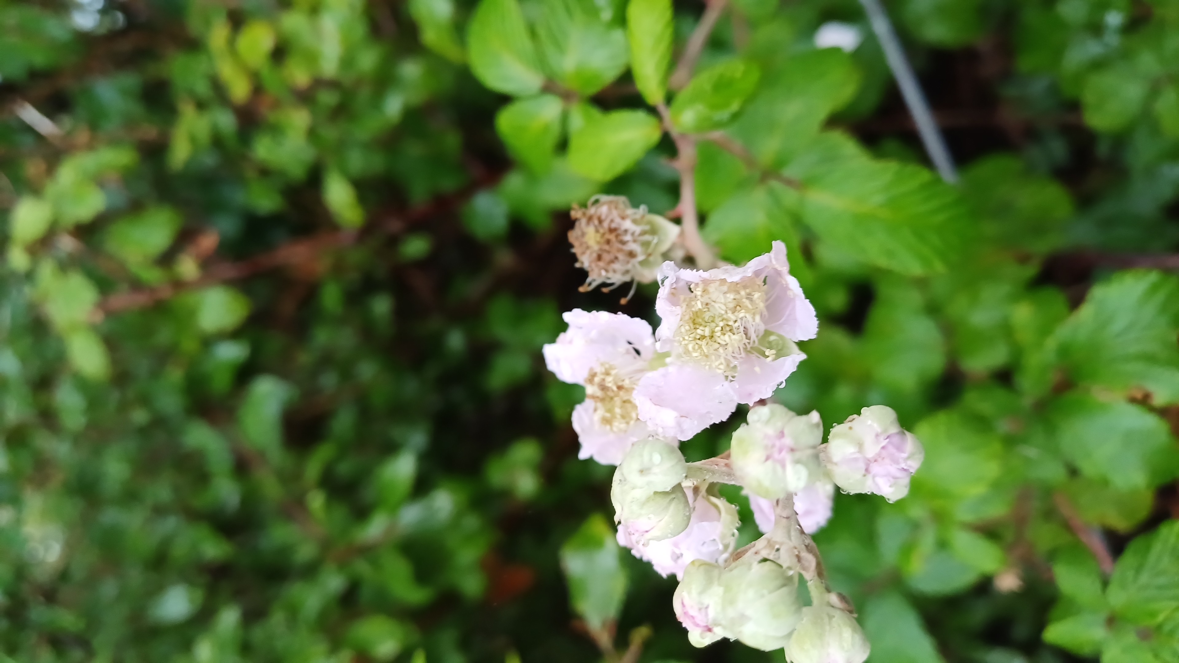 IMG-20250731-WA0010.jpeg