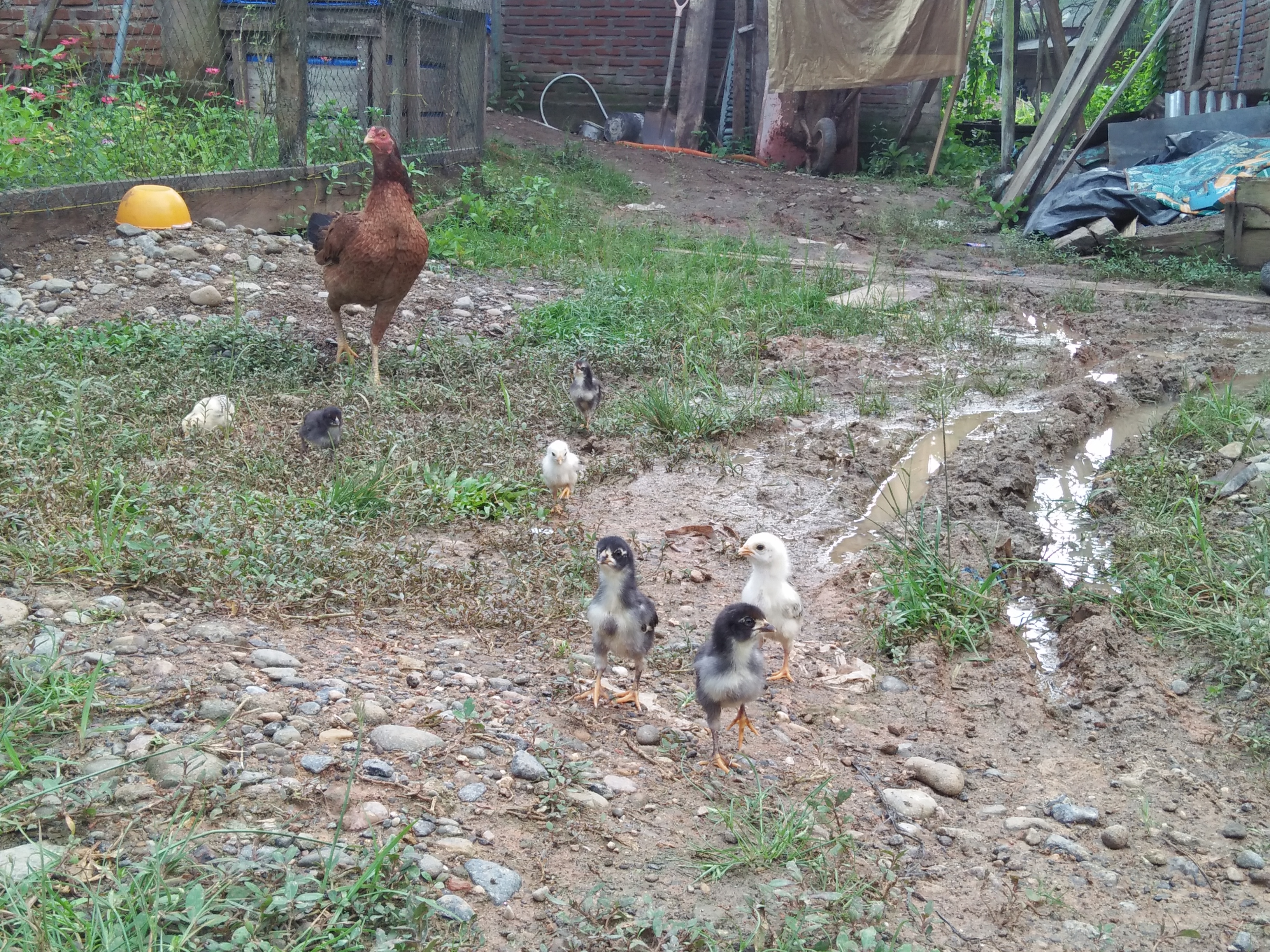 IMG20220106170859.jpg