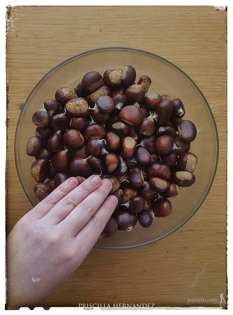 chestnut (2) -640- by Priscilla Hernandez.jpg