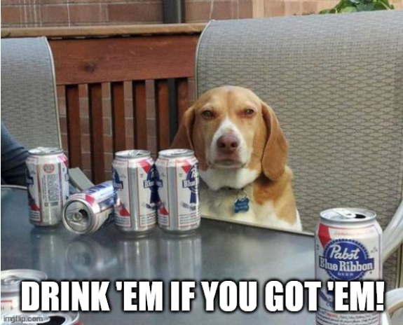 Screenshot 2022-05-21 at 18-13-20 dog beer Meme Generator - Imgflip.png