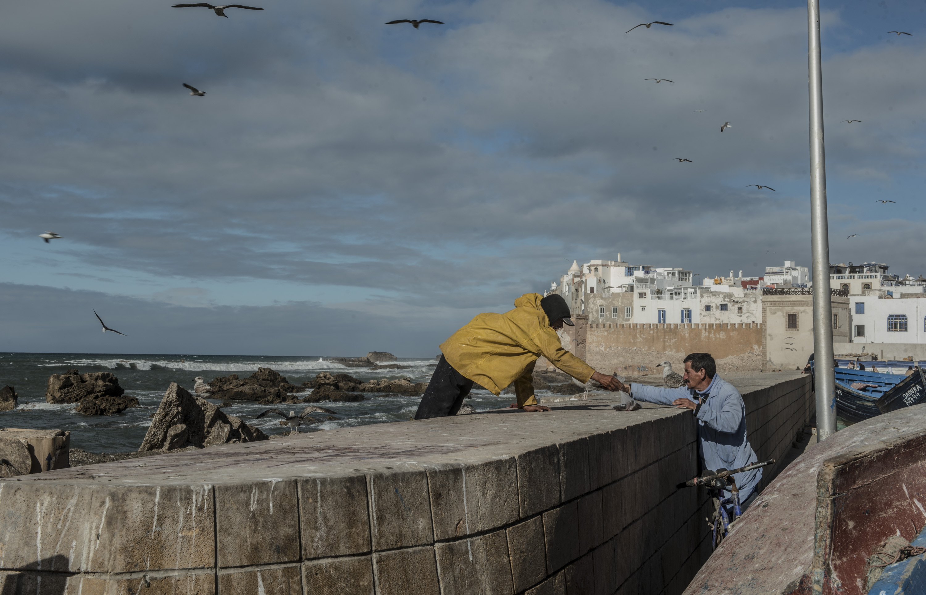 Essaouira_37.jpg