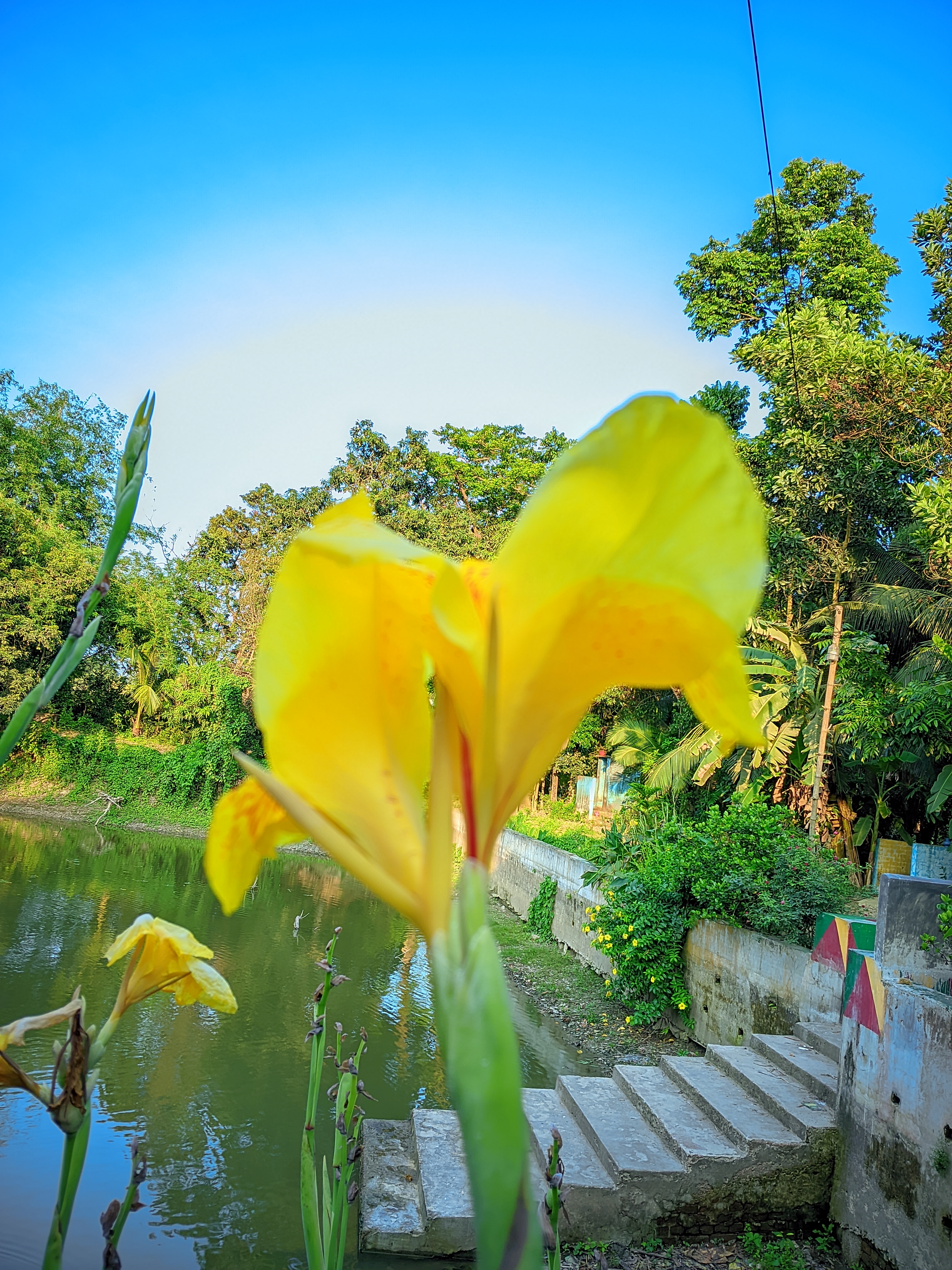 LMC_20250505_172536_🌈Color boost By Light Editz.jpg