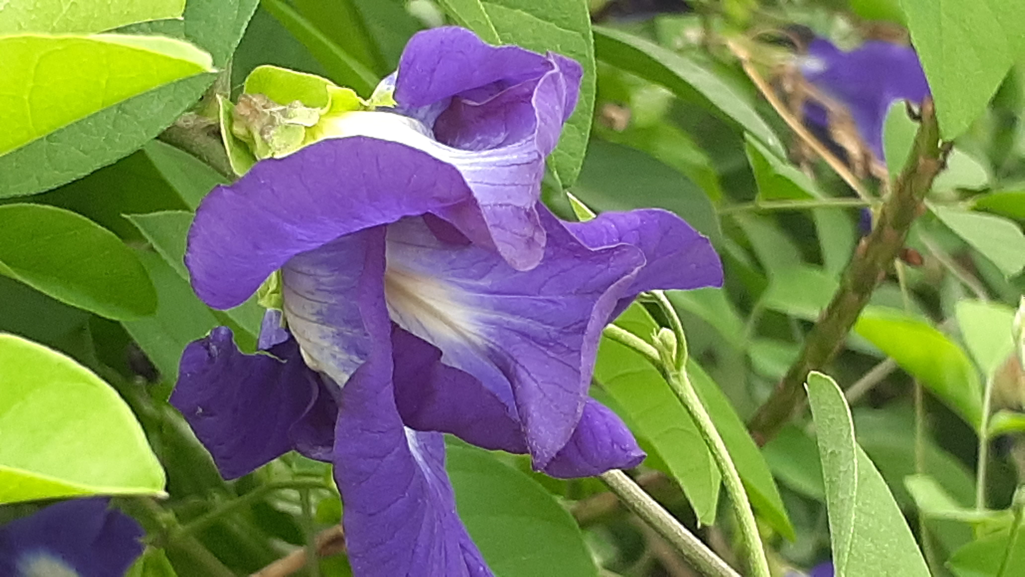 20230826_175846.jpg