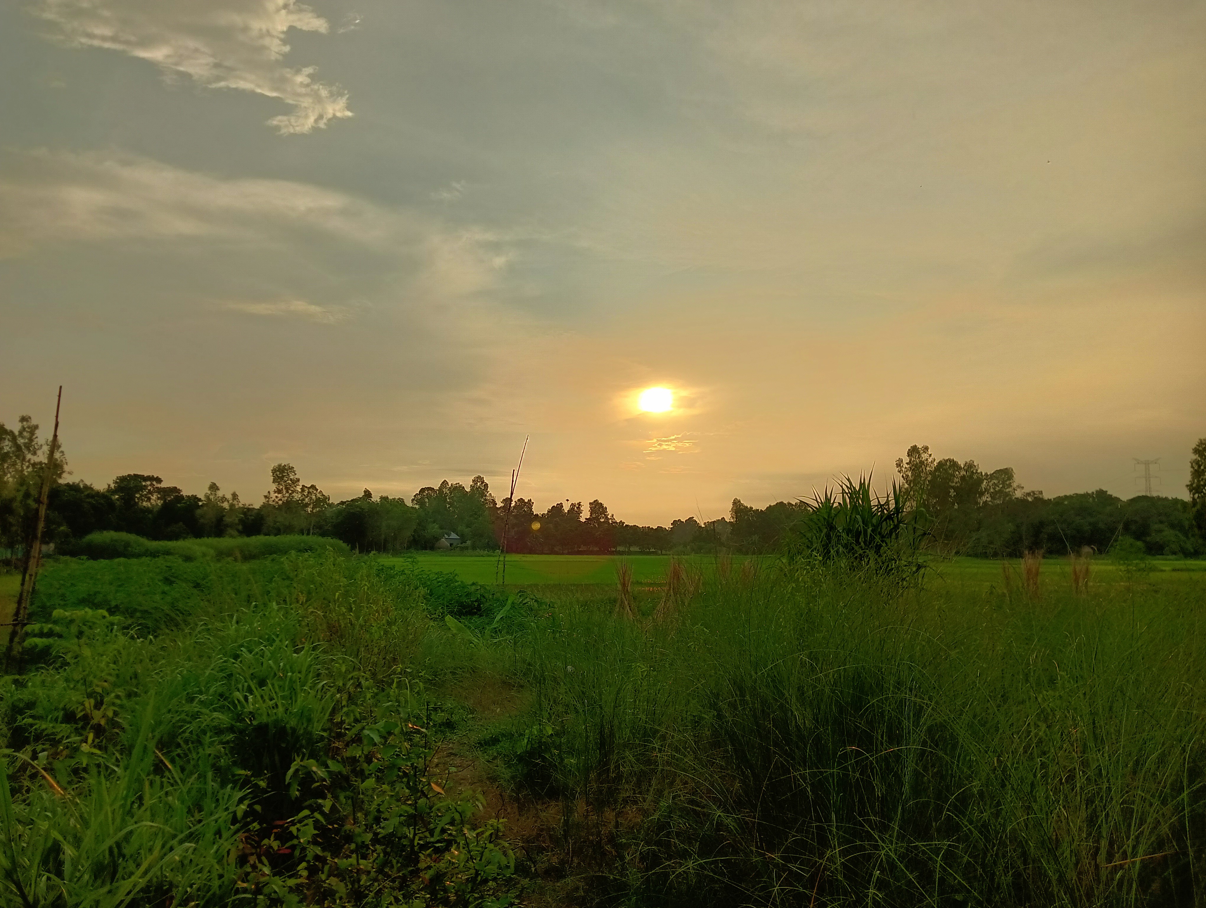 IMG20250815175135.jpg