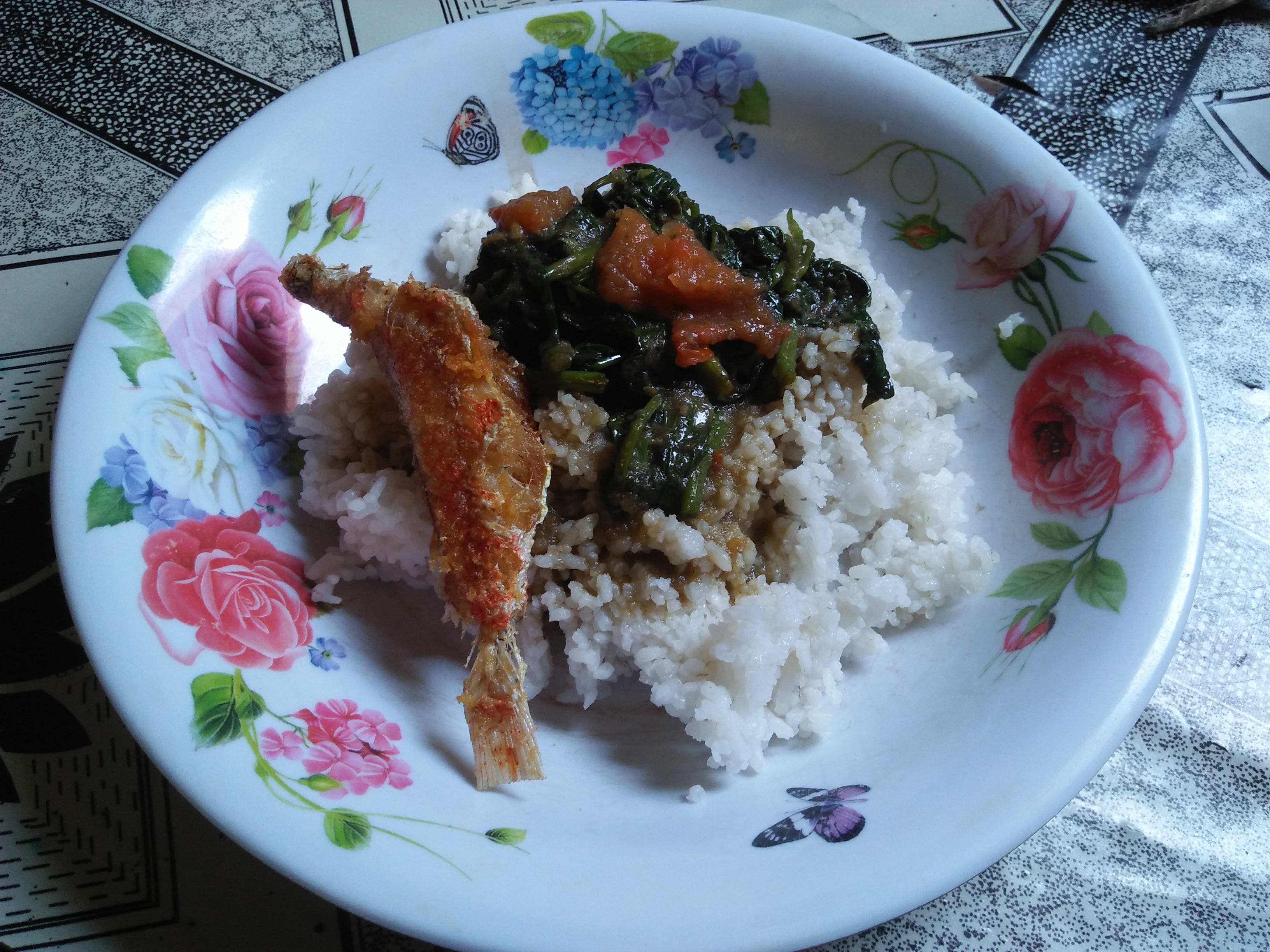 IMG20250521124253.jpg
