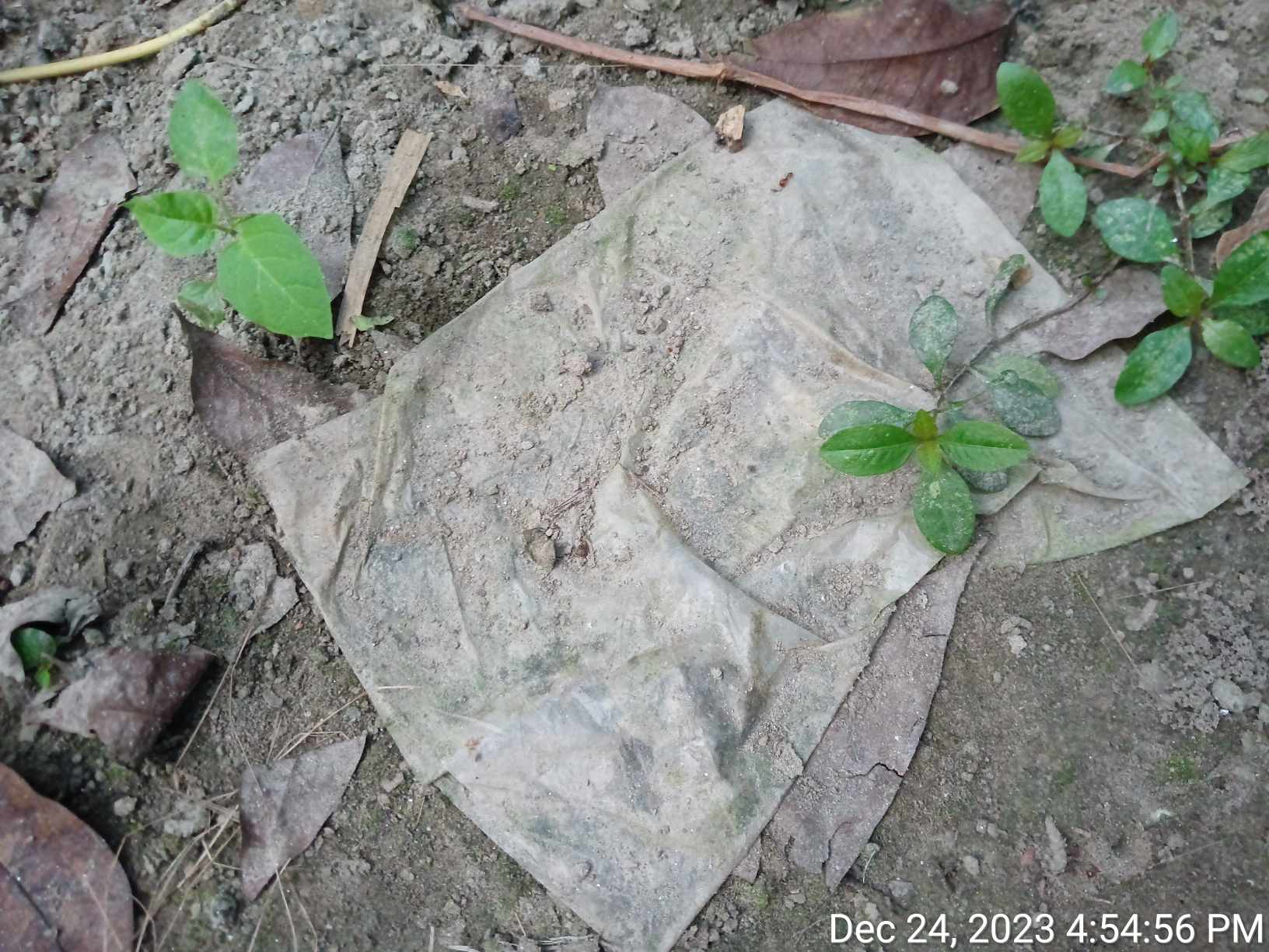 411859352_275563972171643_646437703965402140_n.jpg