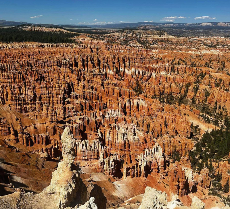 bryce.jpg