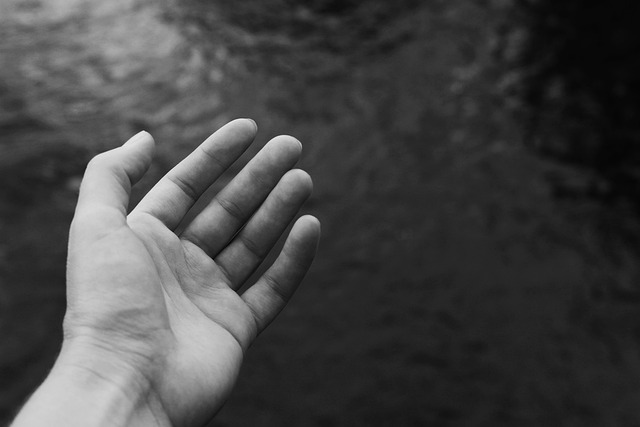 hand-4460054_640.jpg