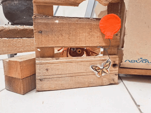 InShot_20231124_164124198.gif