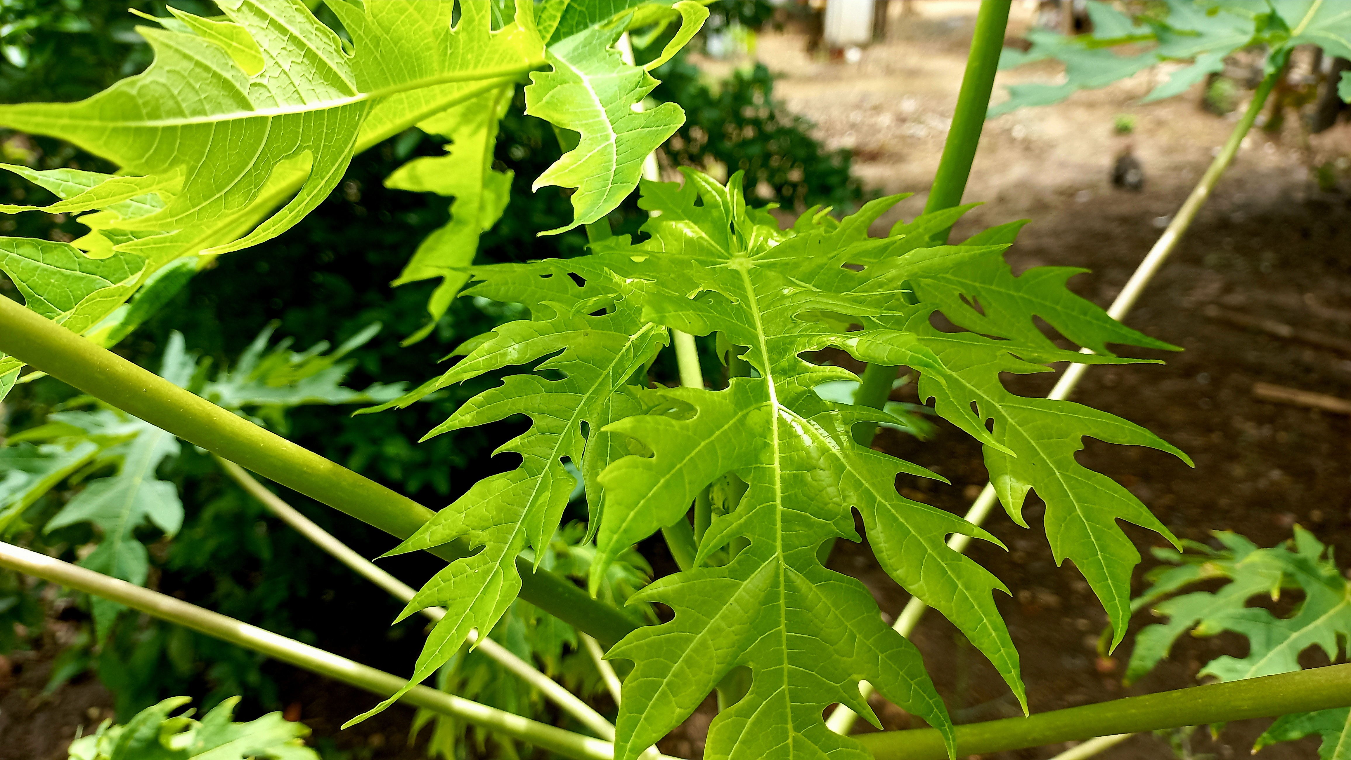 20250526_131231.jpg